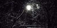 В канун Нового года в Пермском крае ожидаются опасные погодные явления - Медиацентр Мой район