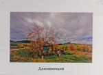В каждой работе фотомастера - любовь