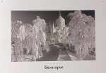В каждой работе фотомастера - любовь