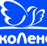Выставлен на продажу обанкротившийся производитель молока - Медиацентр Мой район