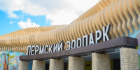Медведь шагает бурый. В Перми 7 августа открылся новый зоопарк - Медиацентр Мой район